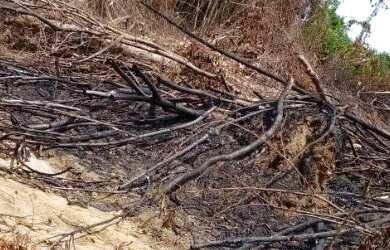 Imagem 2: Terreno 25x50. 1.250m² de Área