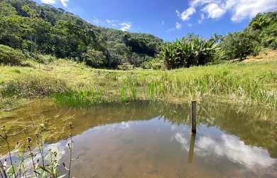 Imagem: O terreno possui 20.000m² de Área e está localizado em Domingos