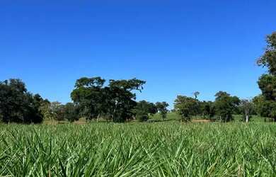 Imagem 9: Fazenda com 1.433 Hectares - IACIARA - GO -R$. 42 Milhões