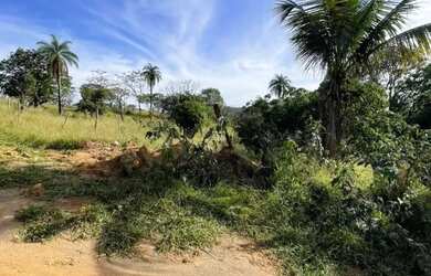 Imagem: A fazenda possui 500m² de Área e está localizado em Esmeraldas