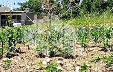 Imagem: O terreno possui 390m² de Área e está localizado em Garibaldi