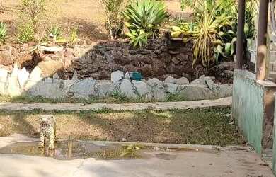 Imagem 16: Chácara em Aragoiania. Piscina