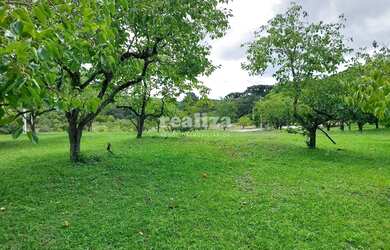 Imagem 6: TERRENO EM GRAMADO. 800m² de Área