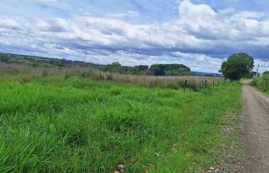 Imagem 5: Area Rural 15,5 Hectares Castelo Branco /Poranga/SP