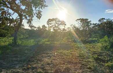 Imagem: Sítio a venda 5 hectare no monjolo