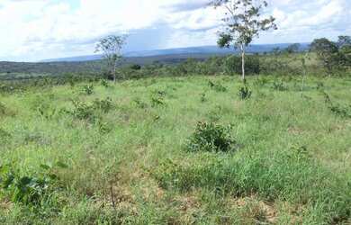 Imagem 7: Fazenda 356,85 ha - Brasilândia de Minas - MG