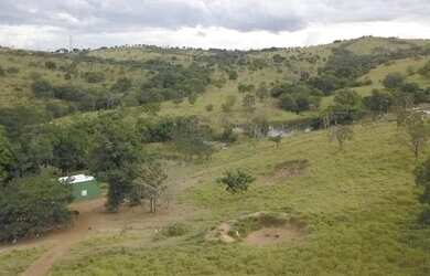 Imagem 2: Fazenda A Venda em Luziânia Goiás - 72,6 Ha - Toda Formada - Oportunidade