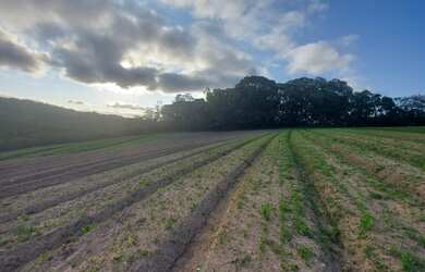 Imagem 8: Lote/Terreno para venda tem 600 metros quadrados em Jardim Brasil - Atibaia...