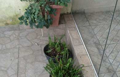 Imagem 3: Aluga-se. Churrasqueira, Varanda, Área de serviçoe55m² de Área