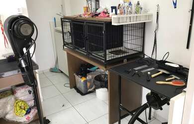Imagem 5: Petshop banho e tosa. 30m² de Áreae1 Vaga na garagem