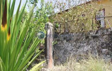 Imagem 3: Fazenda de agricultura orgânica, onde se produz excelente café reconhecido...