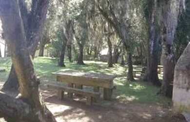 Imagem 4: Apartamento -Santa Felicidade