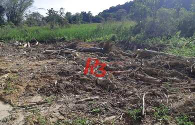 Imagem 9: Terreno à venda, 40435 m² - Balneario Praia do Perequê - Guarujá/SP
