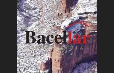 Imagem: O terreno possui 3.970m² de Área e está localizado em Tanque