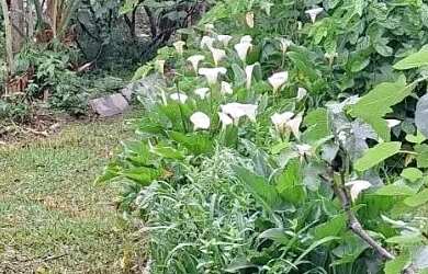 Imagem 10: Venda de Terreno em Caxias do Sul-RS, bairro Pio X