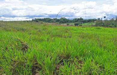 Imagem: A fazenda possui 155.500m² de Área e está localizado em