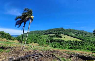 Imagem 4: Sítio / Chácara para Venda em Nova Petrópolis, Fazenda Pirajá
