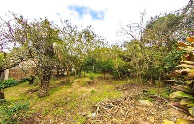 Imagem 15: DUAS CASAS MISTAS 5 DORM, TERRENOS 18X65=1.170m²