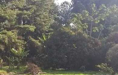 Imagem 5: SÍTIO - SÍTIO DO MORRO - SP