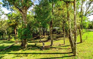 Imagem 7: TERRENO COM PARCELAMENTO DIRETO EM ATÉ 60X