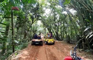 Imagem 3: Casa 2/4 Reserva Sapiranga -Praia do Forte Oportunidade REAL