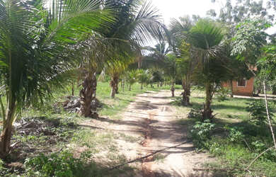 Imagem: A chácara possui 12.000m² de Área e está localizado em