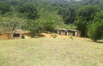 Imagem 4: Vendo Excelente Fazenda Em Gandu