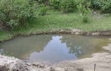 Imagem 3: Chácara 2500m², Córrego, Energia na Porta, Local muito Agradavel- Guapo