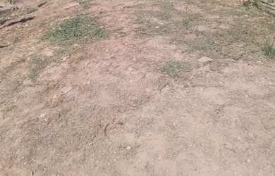 Imagem 7: Vendo área 19.000. 