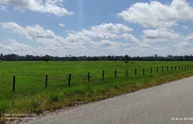 Imagem 3: R$ 5 milhões de reais fazenda com 532 hectares pronta no Pará