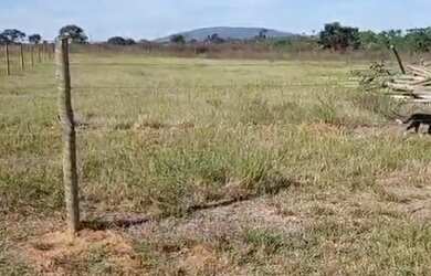 Imagem 6: Fazenda A Venda em Arinos - Mg - 226 Ha - Plana
