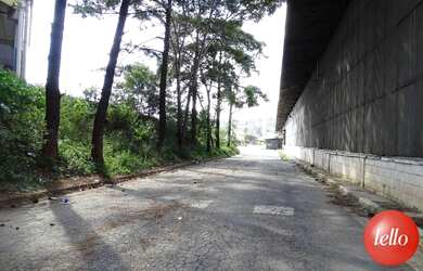 Imagem 15: São Paulo - Galpão/Depósito/Armazém - Jardim São Luís