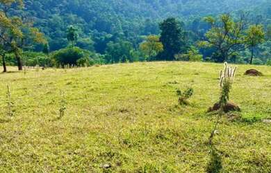 Imagem 5: 32R-Lote/Terreno para venda possui 500 metros quadrados em Jardim Brasil-...