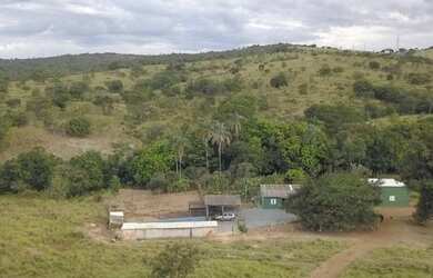 Imagem 3: Fazenda A Venda em Luziânia Goiás - 72,6 Ha - Toda Formada - Oportunidade