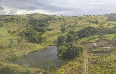 Imagem 8: Fazenda A Venda em Luziânia Goiás - 72,6 Ha - Toda Formada - Oportunidade