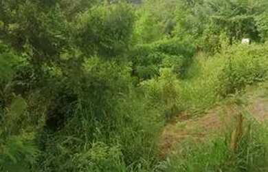 Imagem 3: Vende-se este terreno. 