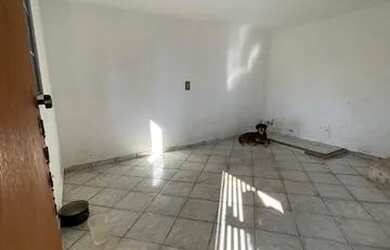 Imagem 4: Casa jardim carpas a venda