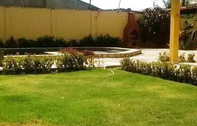 Imagem 6: SUPER CASA EM PAU AMARELO