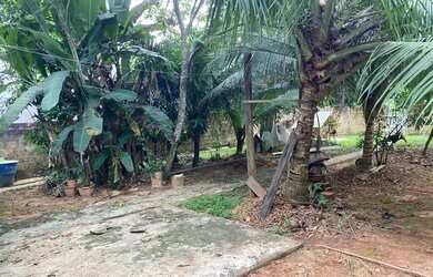 Imagem 6: CASA NO BOSQUE DAS PALMAS