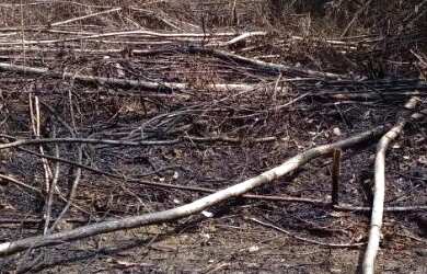 Imagem 3: Terreno 25x50. 1.250m² de Área