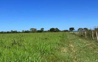 Imagem 6: Fazenda com 1.433 Hectares - IACIARA - GO -R$. 42 Milhões