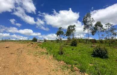 Imagem 2: Vendo lote em Ibiúna com doc atual e preço baixo