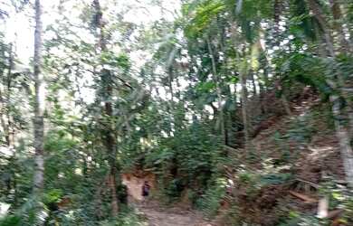 Imagem 15: Terreno com luz e Internet e água a 300 mts da represa