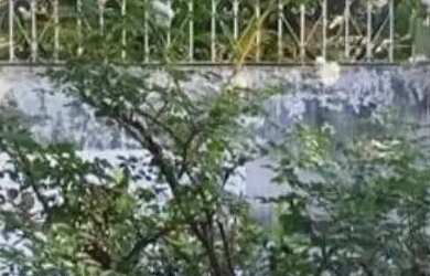 Imagem: A casa possui 3 Dormitórios, 2 Banheiros, 1 Vaga na garagem