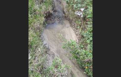 Imagem 2: Chácara 2500m², Córrego, Energia na Porta, Local muito Agradavel- Guapo