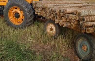 Imagem 2: Fazenda A Venda em Arinos - Mg - 226 Ha - Plana