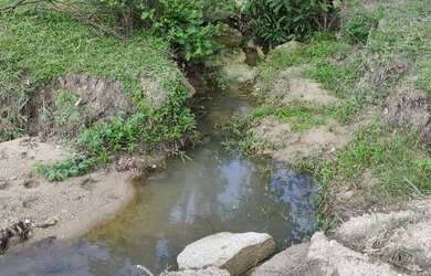 Imagem 4: Chácara 2500m², Córrego, Energia na Porta, Local muito Agradavel- Guapo