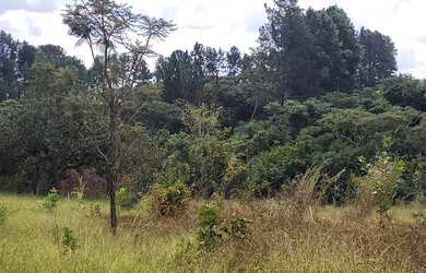 Imagem 10: Jóia Rara Lote nas Mansões de Recreio Estrela Dalva VII com Córrego...