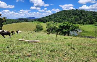 Imagem 2: Vendo fazenda em Ubatã. Imóvel novoe780.000m² de Área