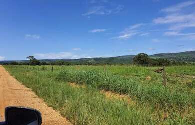 Imagem: A fazenda está localizado em Jardim Residencial Araucária